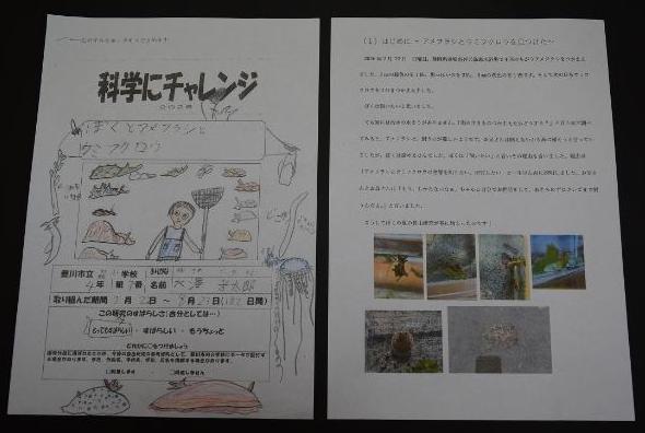 レポートの表紙【以下のPDFをご覧ください】