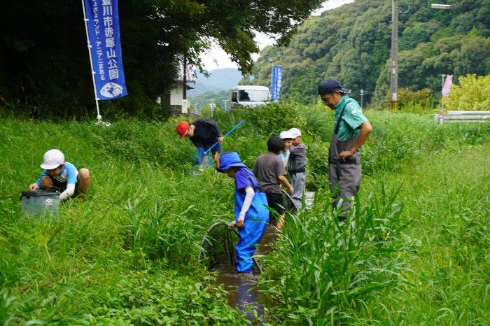 室川は、山陰川と違って水がきれいです！