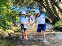 川で魚を取っている子供たちの写真