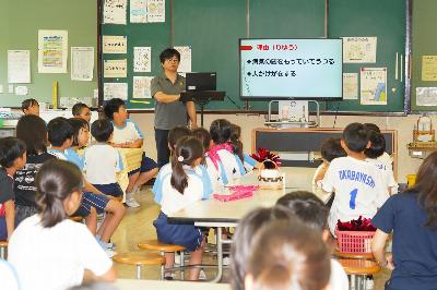 弱った野鳥を見たら、こんな理由でむやみに触ってはいけないんです