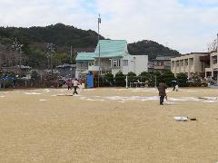 運動場ににがりを撒く職員たち