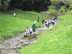 音羽川に入り、生き物を探し始める子どもたち