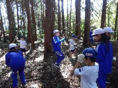 見学通路上にある枝等を撤去する6年生とお手伝いをする2年生の子どもたち