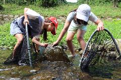 石の下に潜んでいる生き物を探す子どもたち