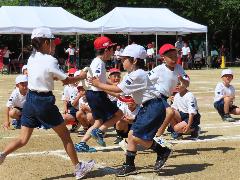 小学校の運動会に初めて参加する1年生の子どもたち