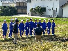 稲刈りその1