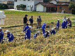 稲刈りその2