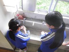 室内の窓際の水道で雑巾を洗う女の子を見守る女の子の写真
