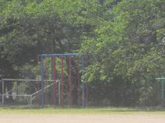 生い茂った木々の前の広場に置かれた雲梯の写真