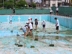 プール本体に溜まったごみを掃除する子どもたち