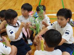 願い事を書いた短冊を笹に飾り付ける子どもたち