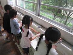 児童たちが水道で手を洗っている写真