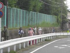 ガードレールの付いた歩道の石垣の上の草をいじる人たちの写真