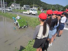 音羽米づくり苗植え