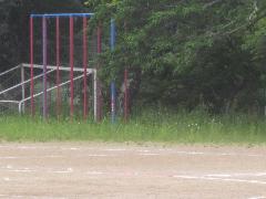 運動場の雑草