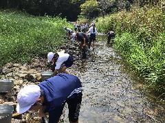 音羽川水質調査その2