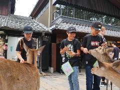 修学旅行　東大寺　鹿