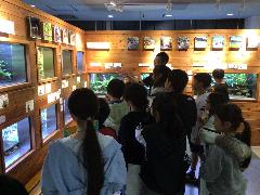 ぎょぎょランド