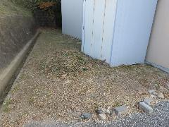 きれいに草が刈られた校内