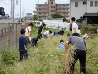 屋外の広場で草むらで作業をしている子どもや大人たちの写真