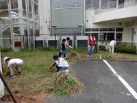 建物の前の山積みとなった草の周辺で草むしりをしている人たちの写真
