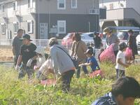 ピンク色の袋を持ち、草むらに入っている人々の写真