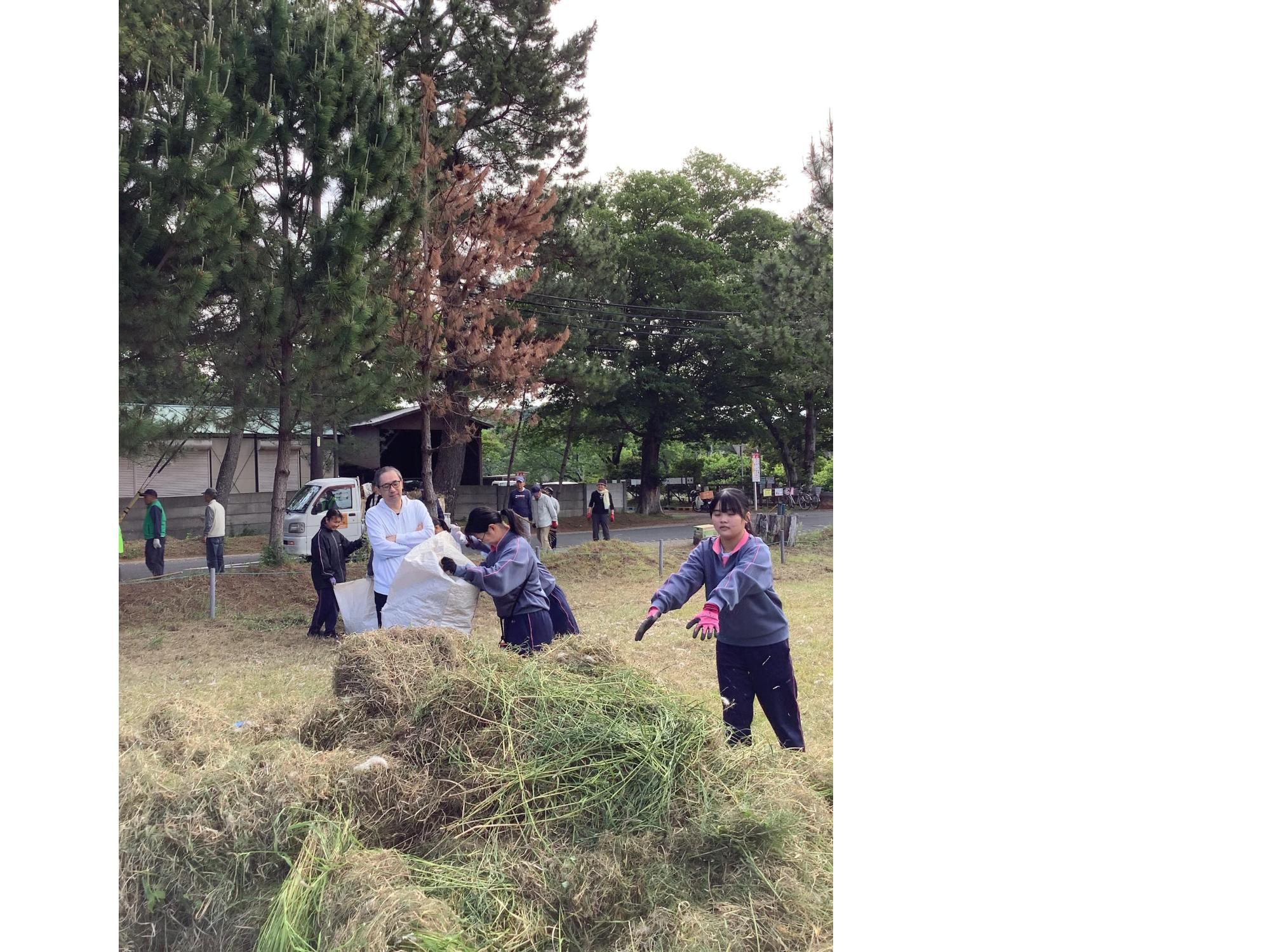たくさん集まりました