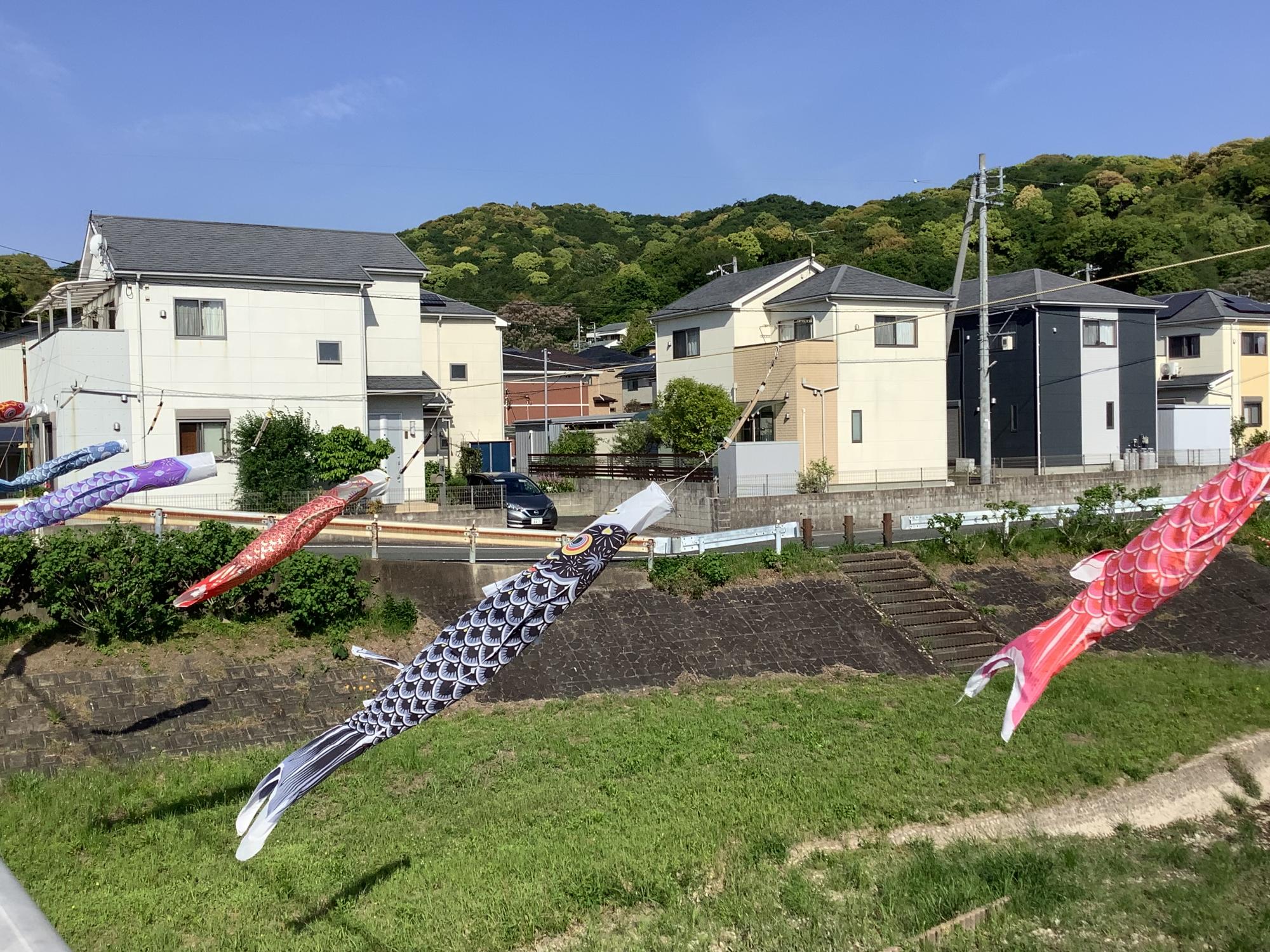 koinobori