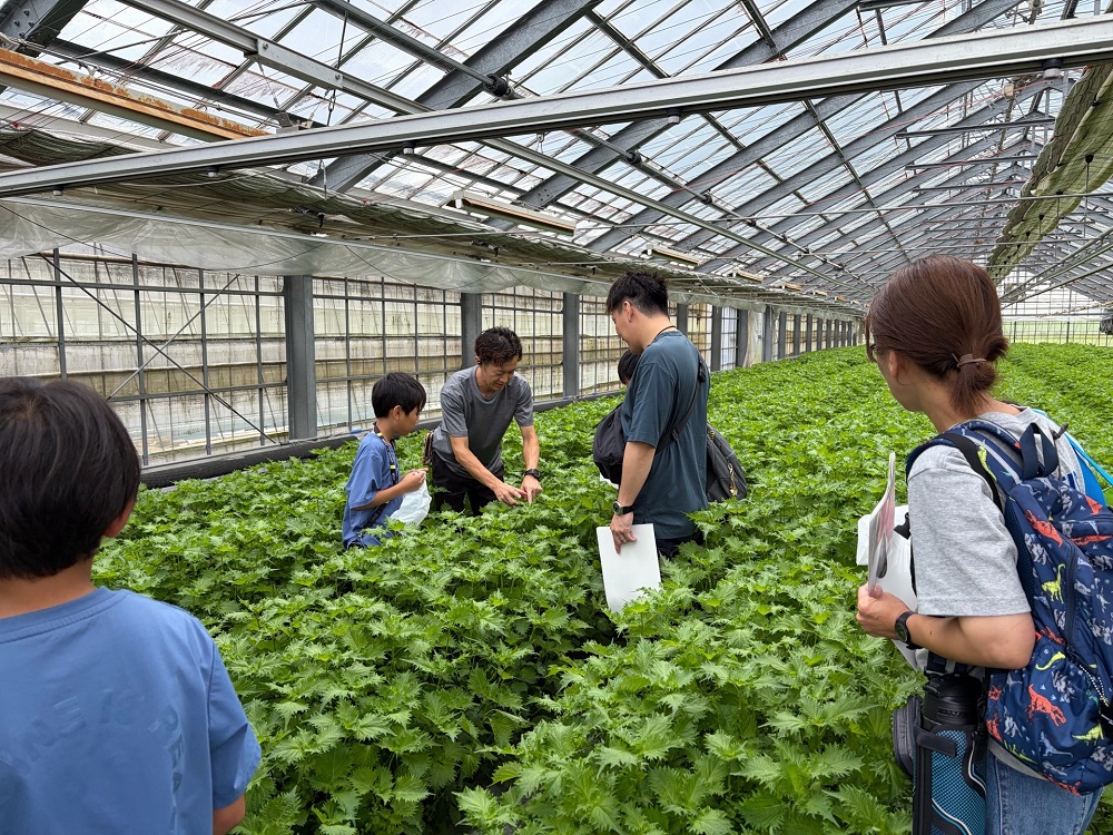 大場の圃場を見学している様子