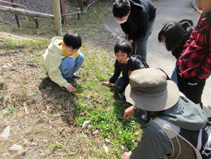 東三河ふるさと公園での観察の様子（令和7年6月7日）