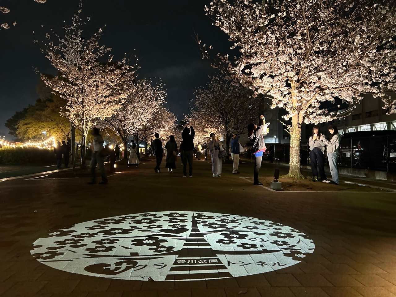 咲き誇った桜の木に提灯が吊られ、木々の間を人々が歩いている写真