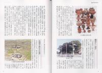 新版豊川の歴史散歩の豊川市のあゆみページの写真