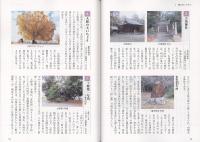 新版豊川の歴史散歩の豊川沿いを行くページの写真