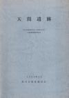 天間遺跡の表紙