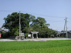 全国でも屈指の縄文人骨が出土している縄文晩期の貝塚で、入口に鳥居が設置された平井稲荷山貝塚・平井遺跡の写真