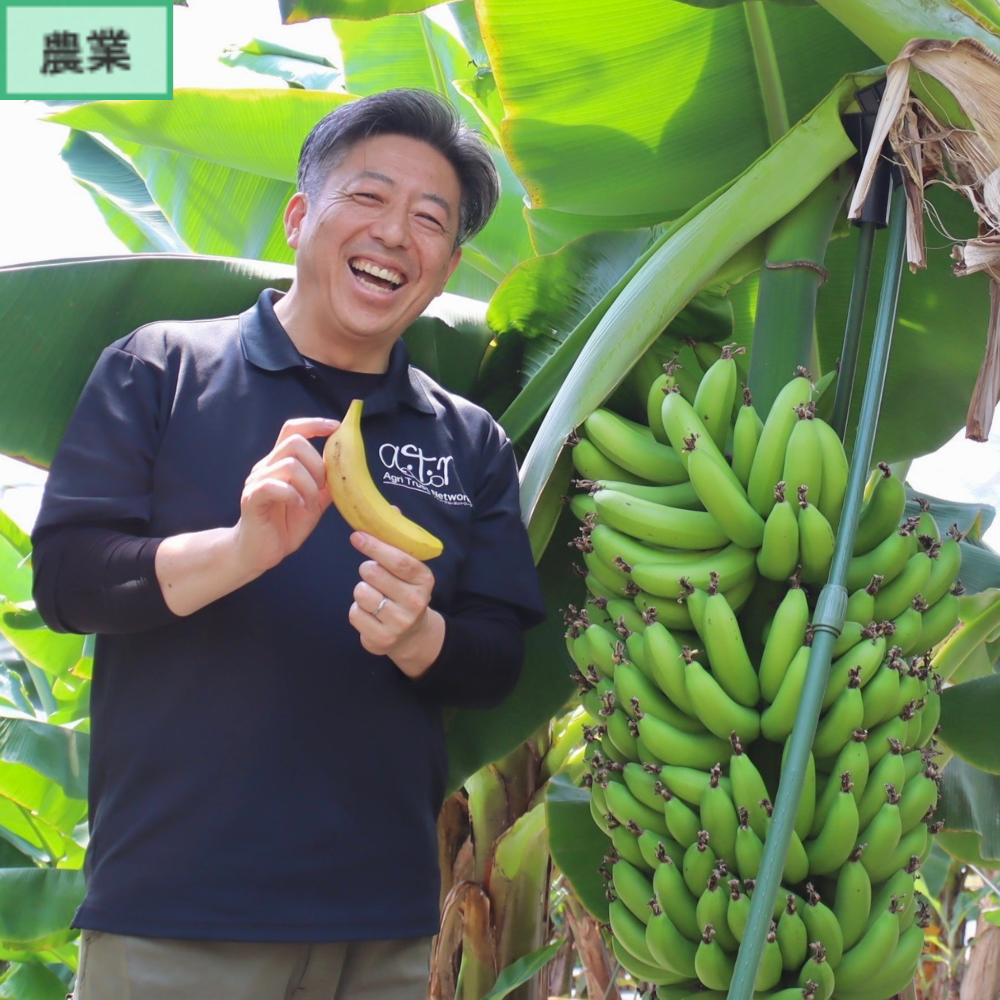 ほのくにバナナ生産者早川さんの写真