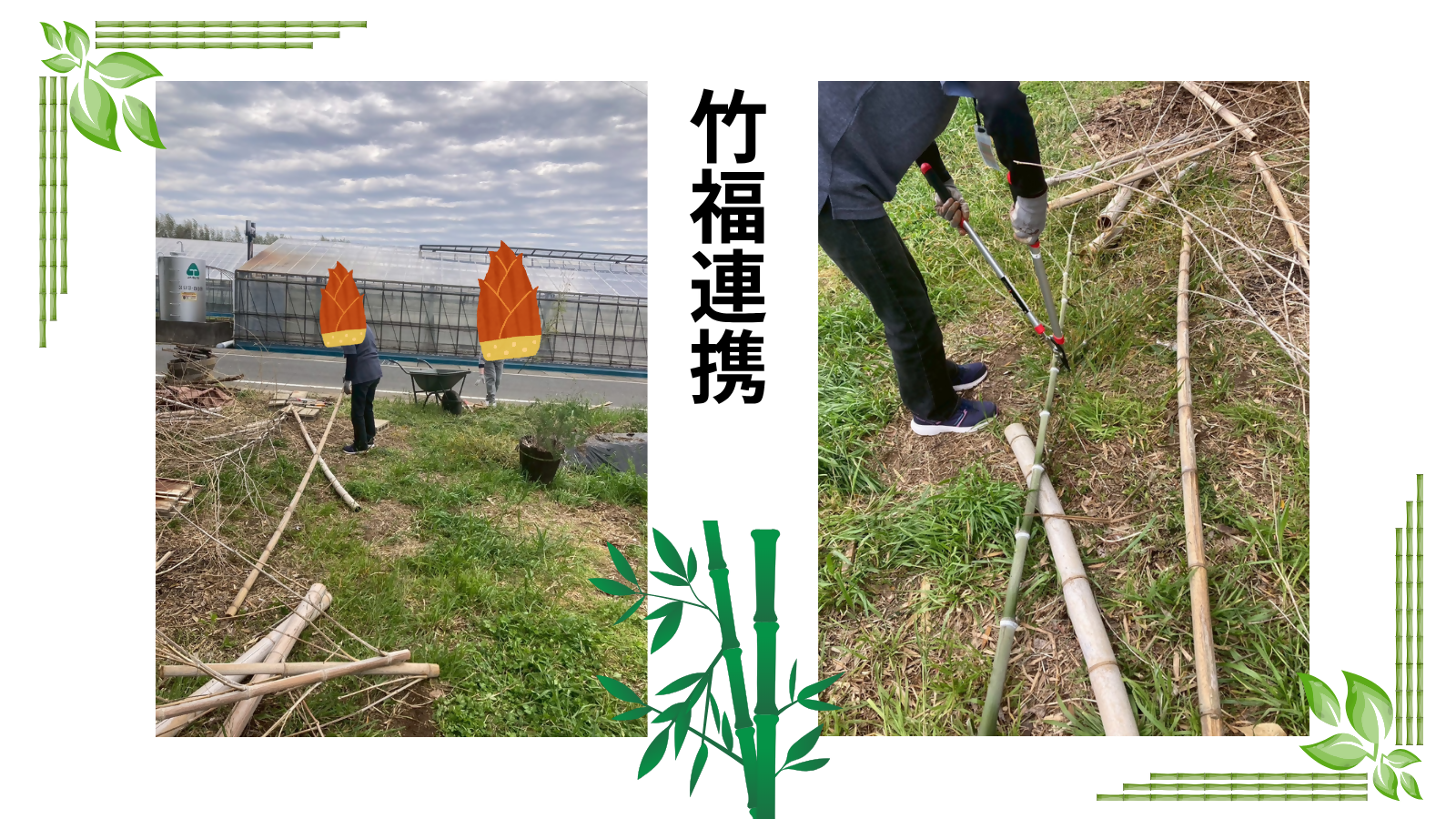 竹福連携事業の様子