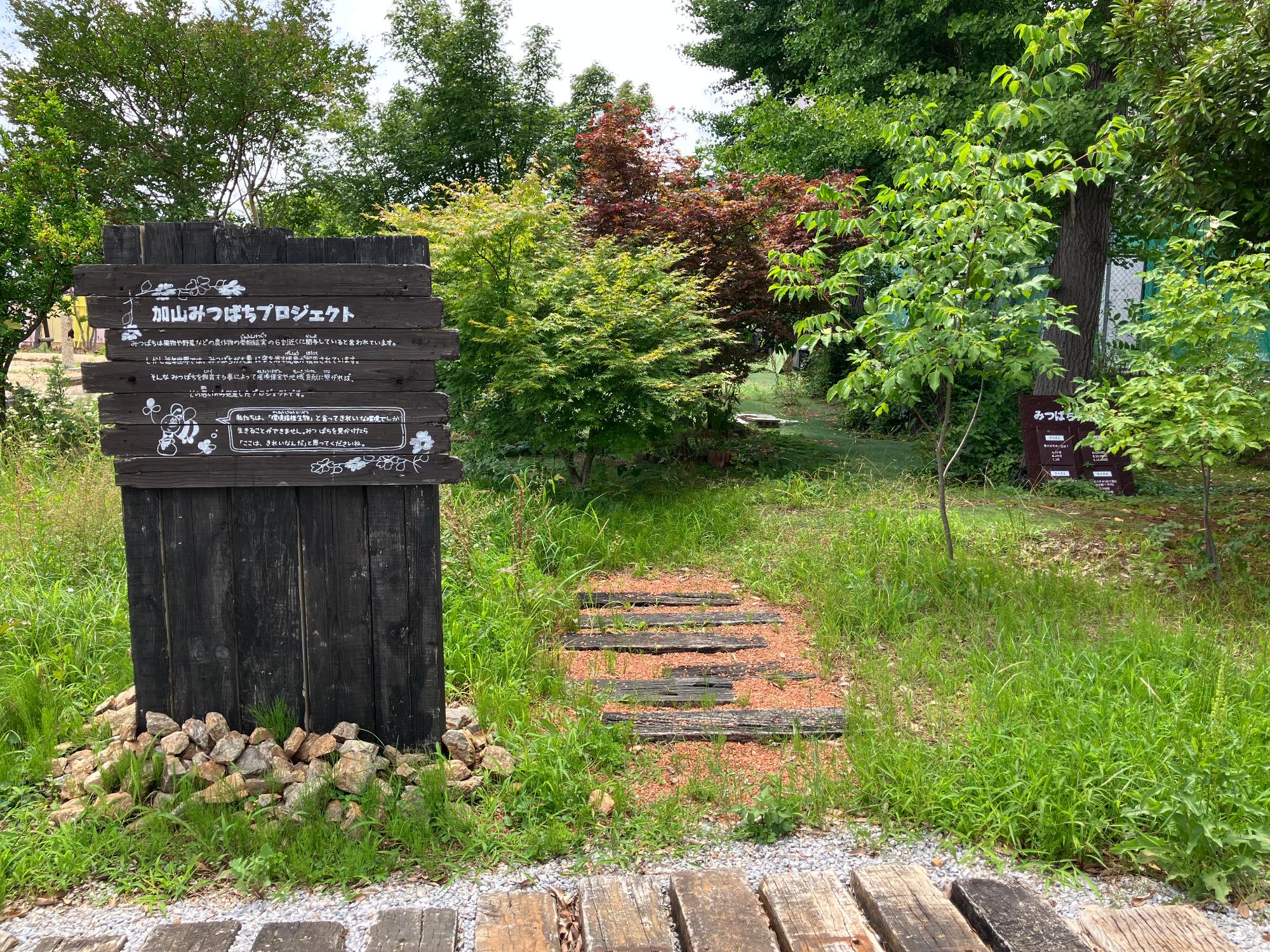 加山みつばちプロジェクト