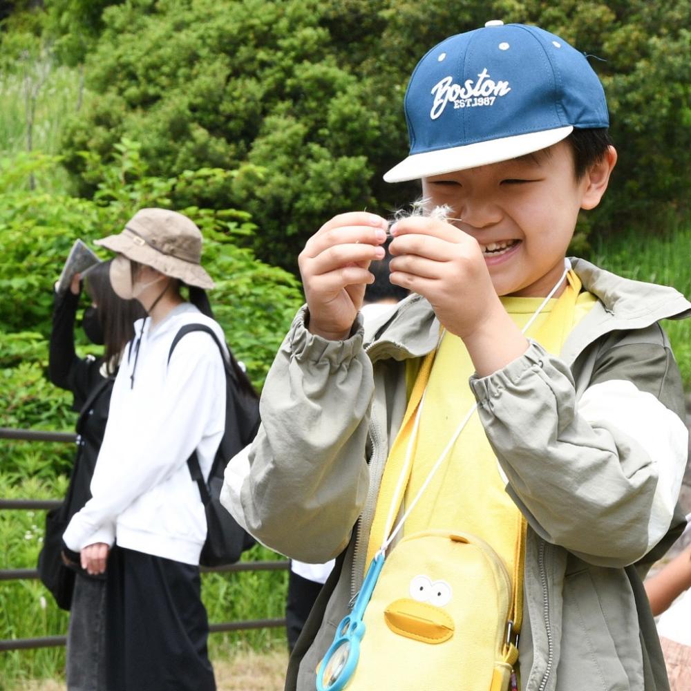初夏の東三河ふるさと公園で自然観察