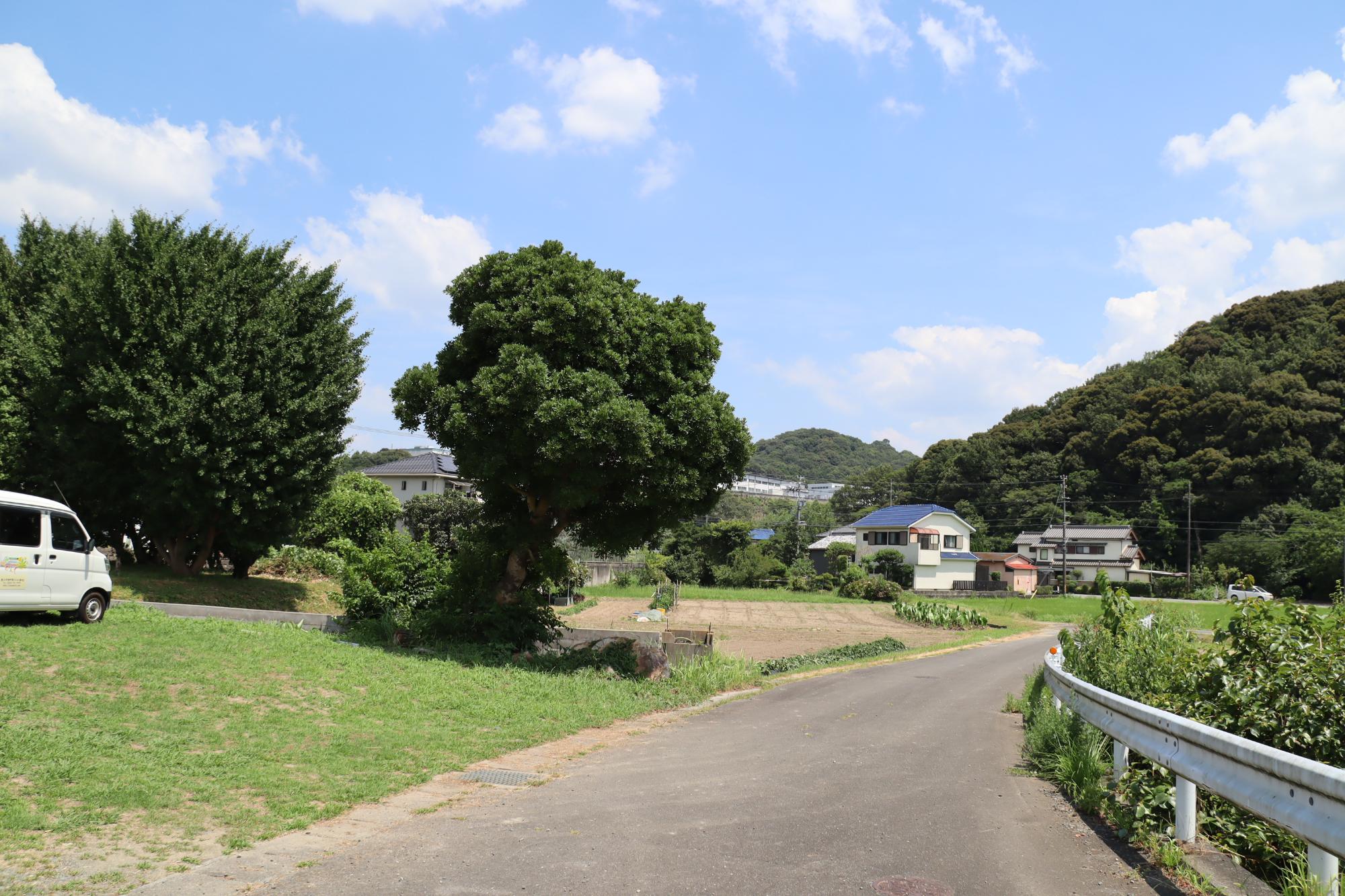 nikosoto2