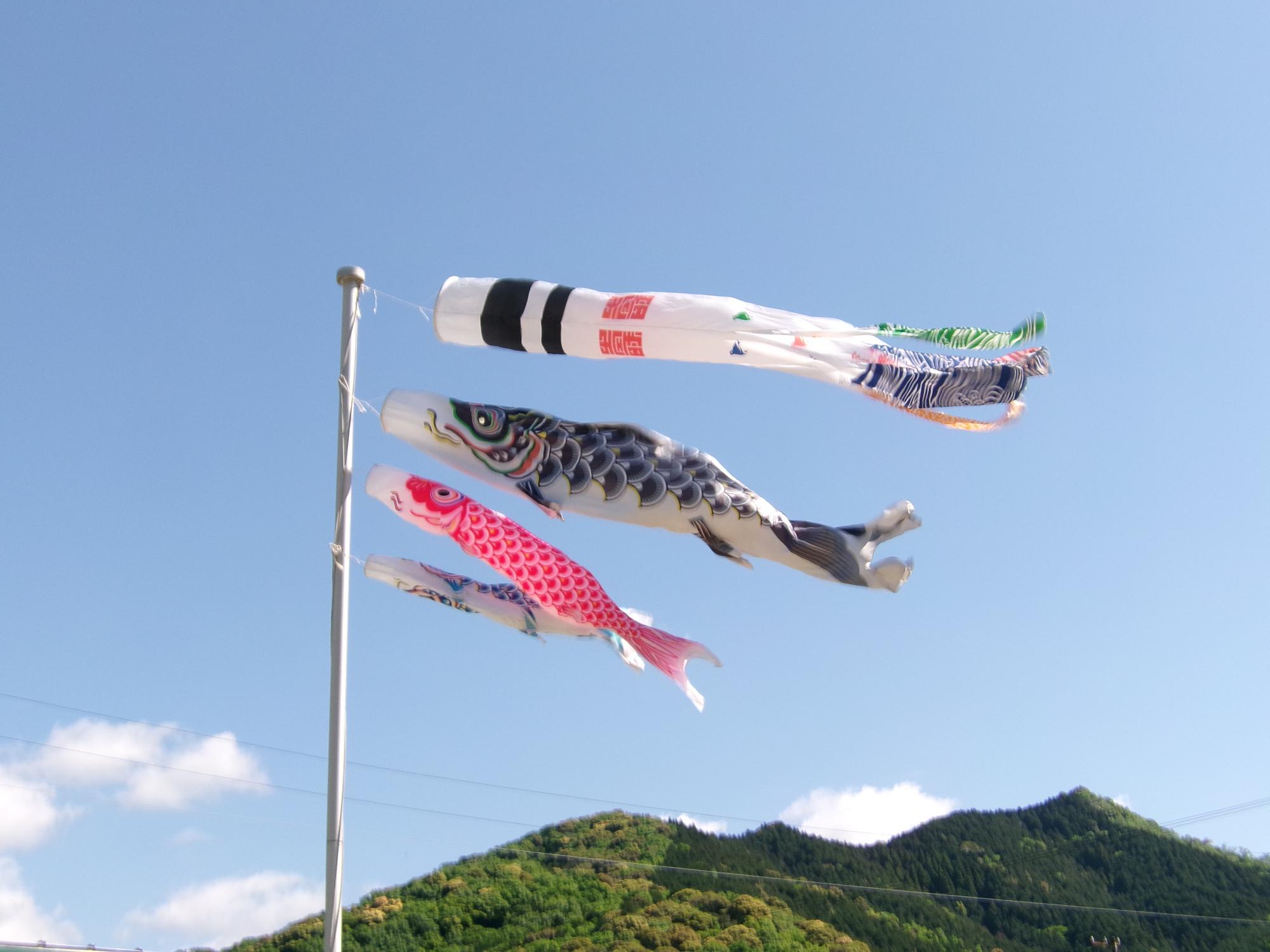 げんきよくおよぐこいのぼりのしゃしん