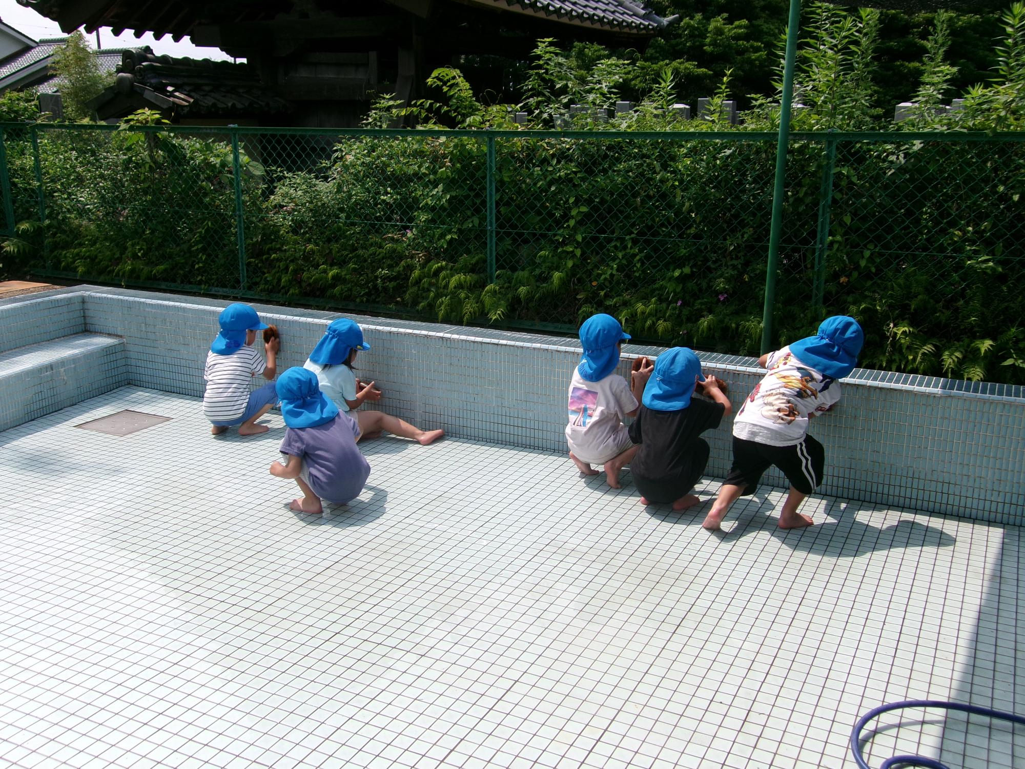 プール掃除をしている写真
