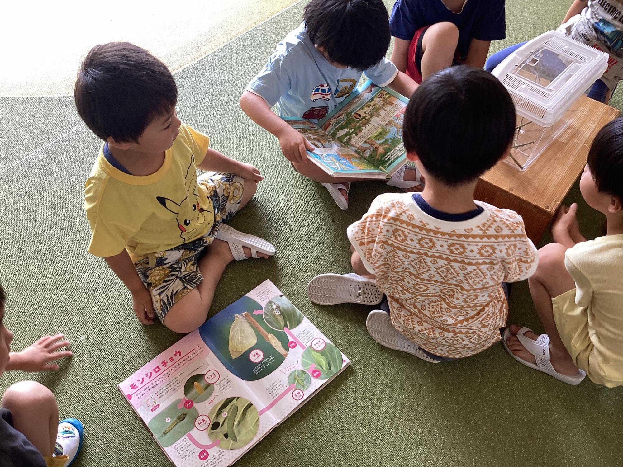 図鑑で調べています