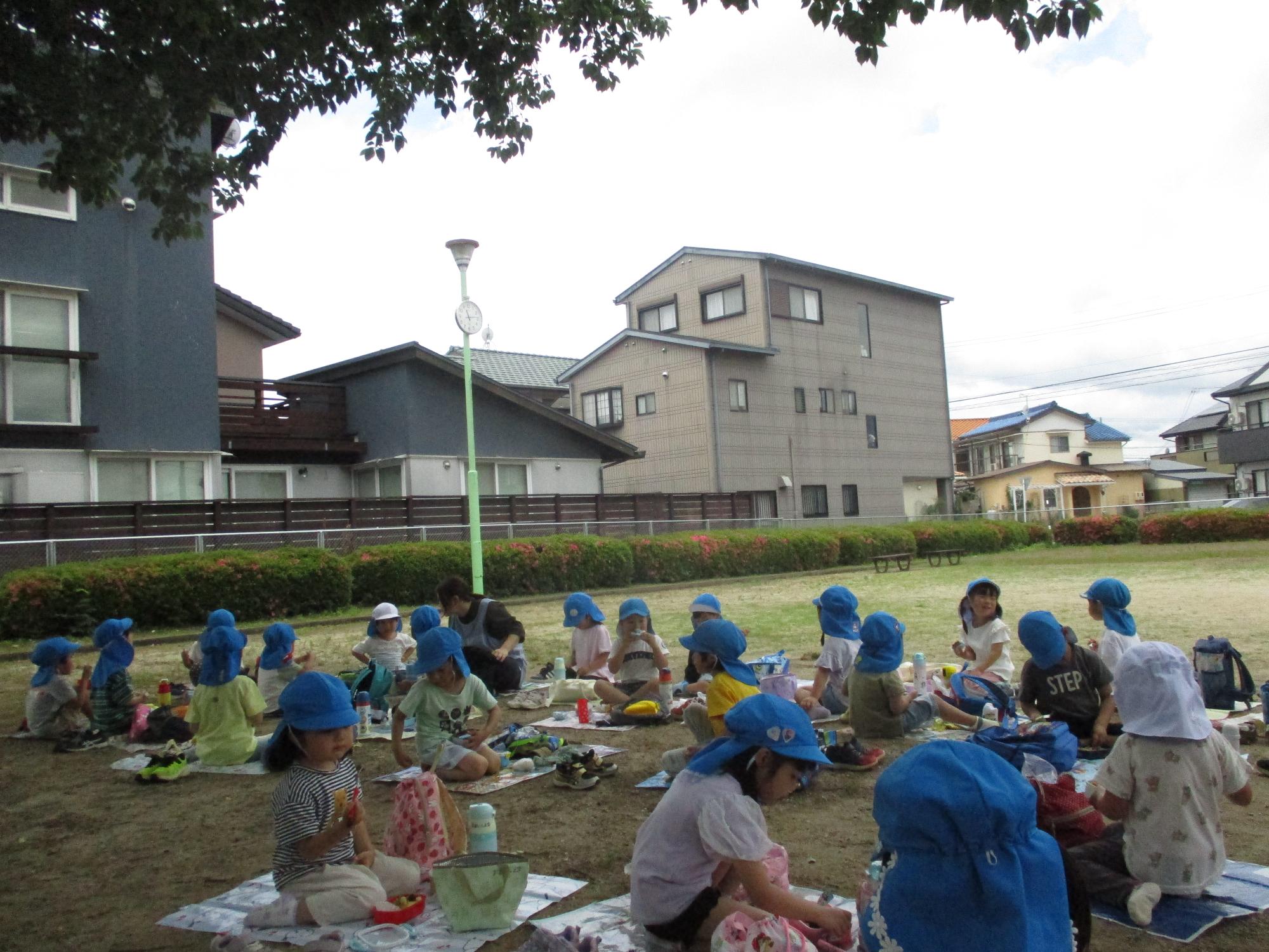 お弁当を食べています