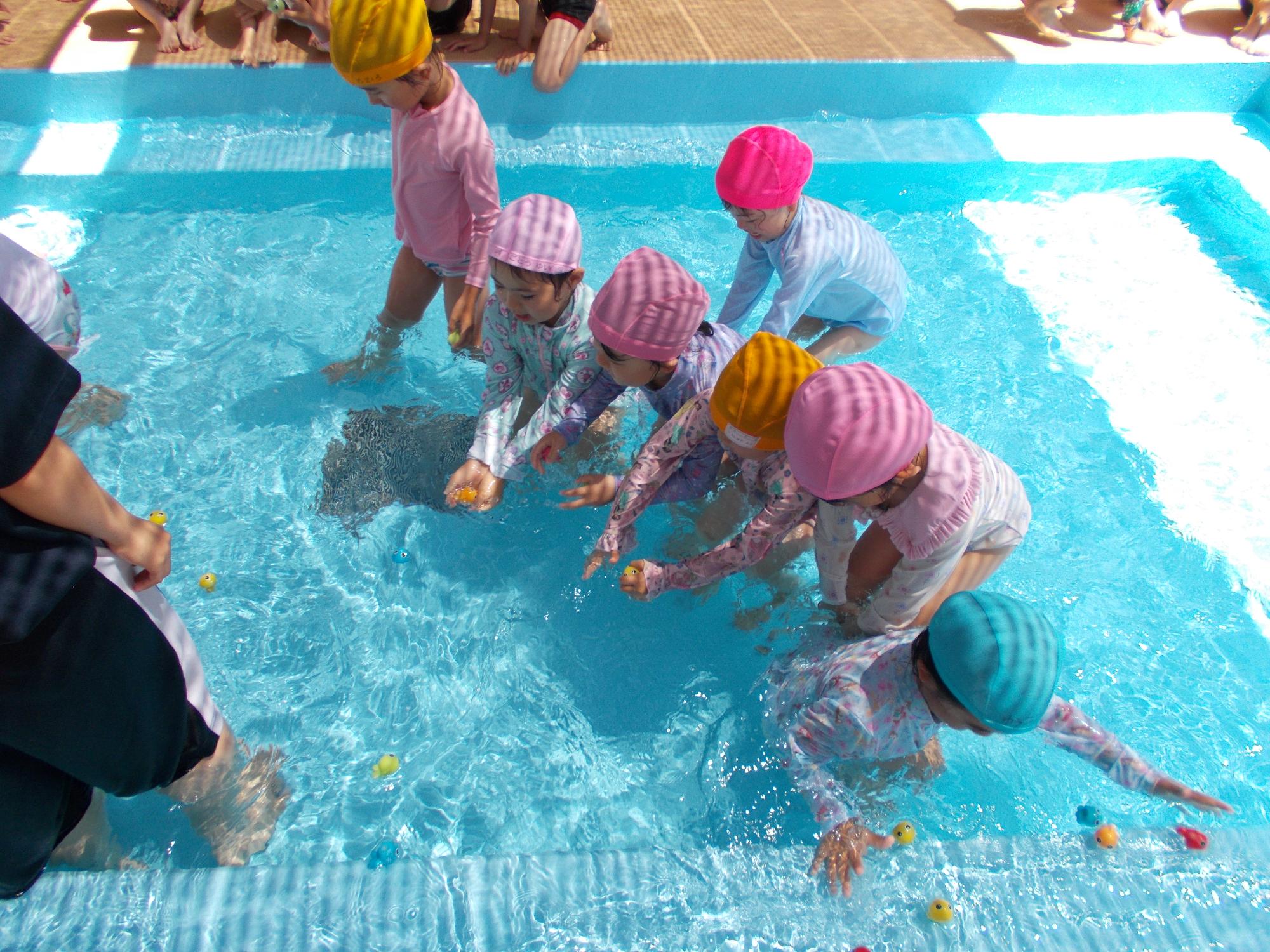 プールで魚救いをする年長女児