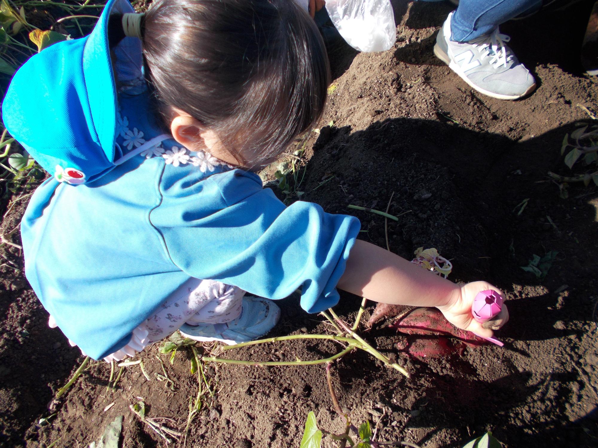 芋を掘る子ども
