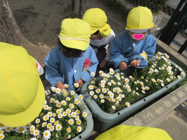 戸外遊びの写真
