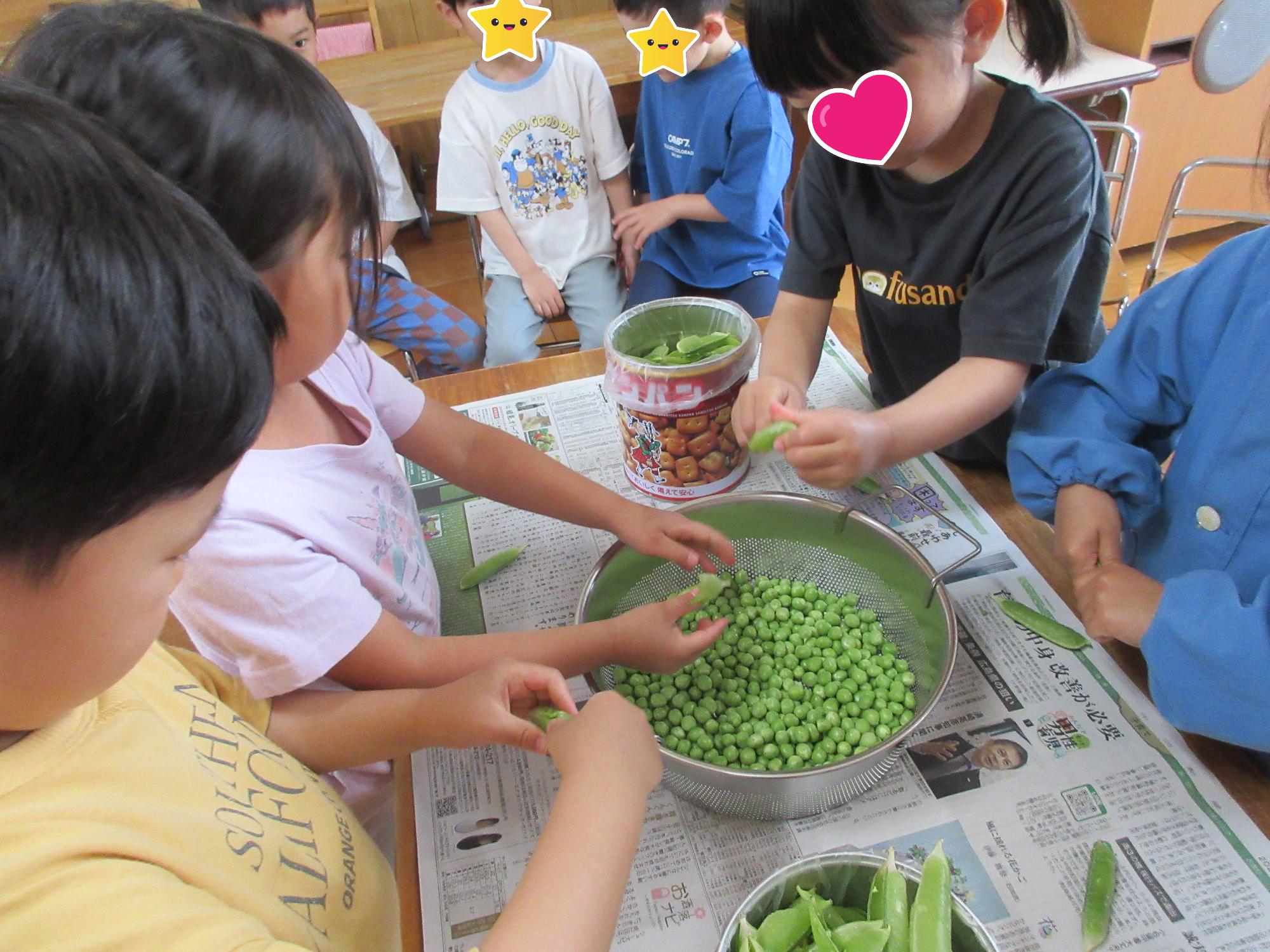 えんどう豆の写真