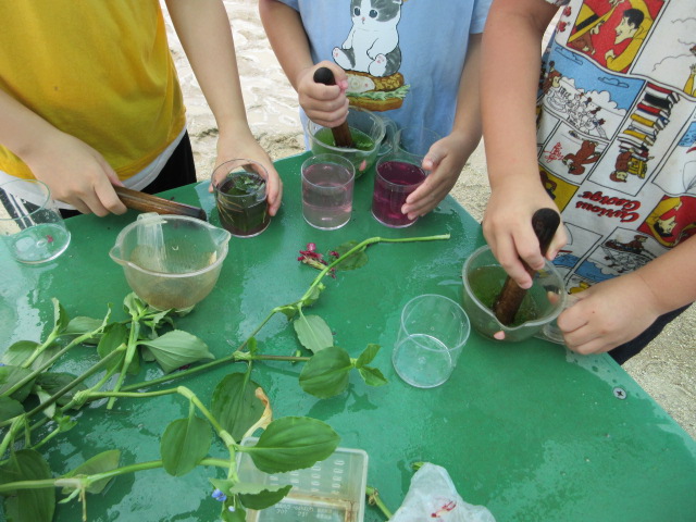 色水遊びの写真
