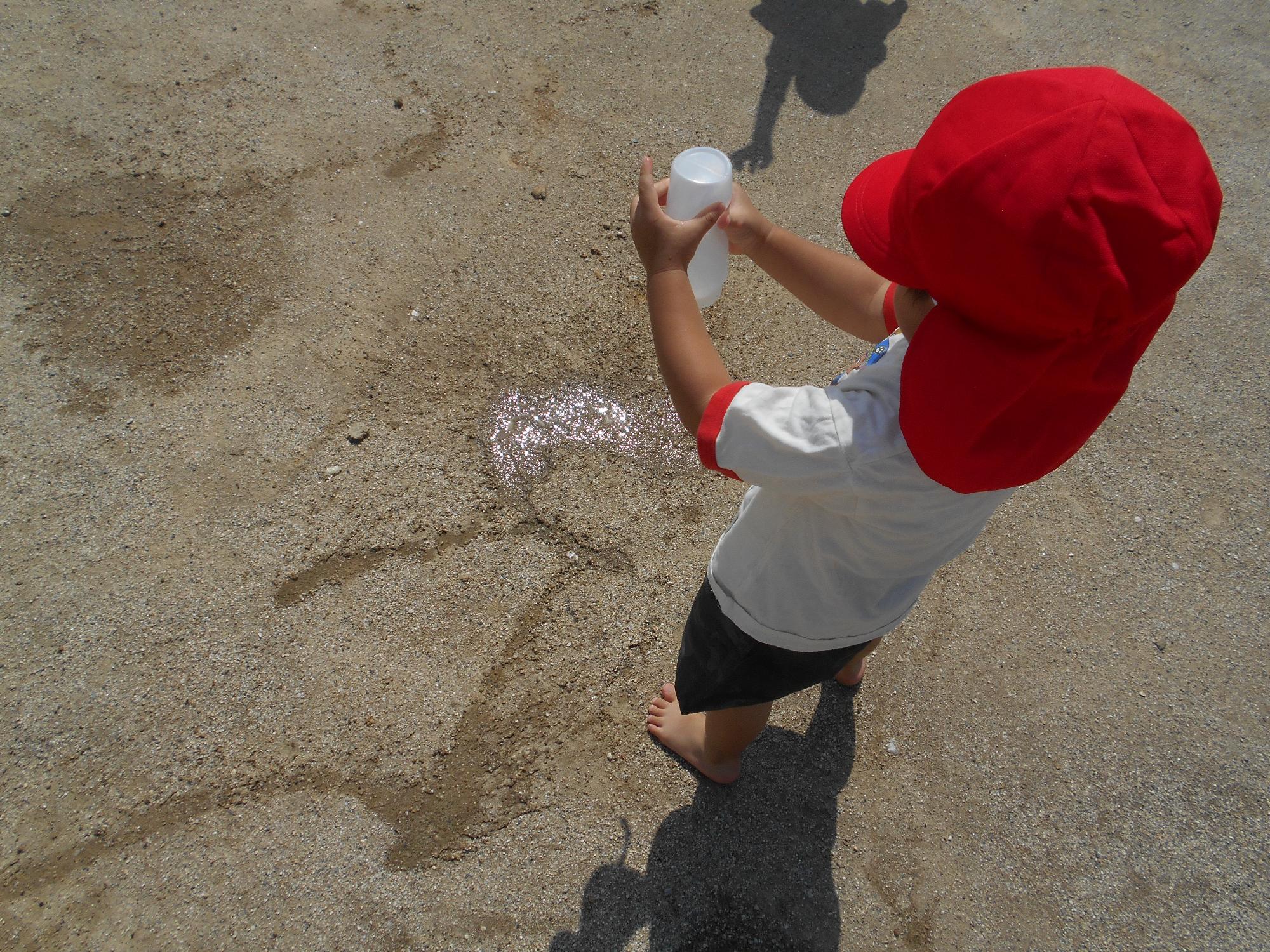 水遊びの写真